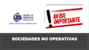 Sociedades no operativas