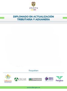 Imagen informacion diplomado dian