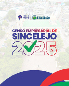 imagen de informacion censo 2025