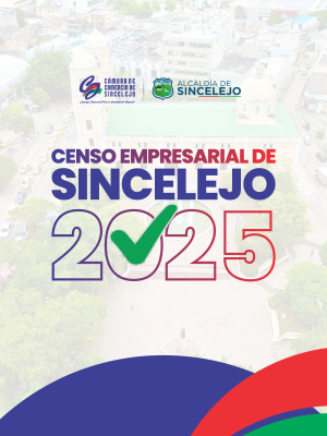 imagen de informacion censo 2025