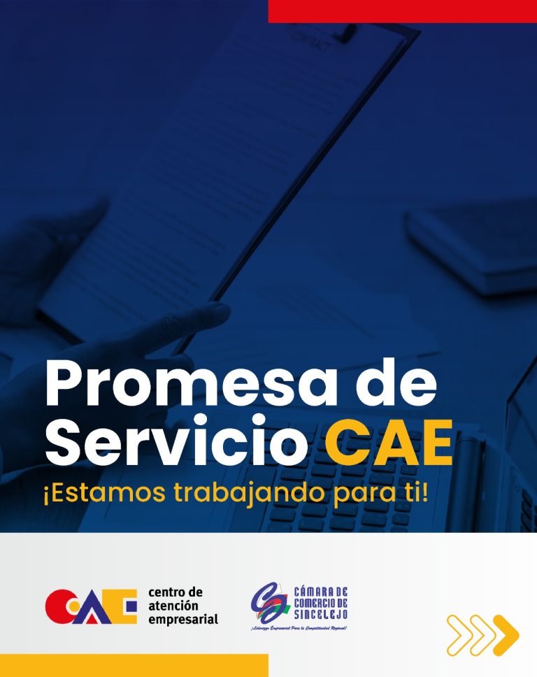 Imagen que hace referencia de la promesa de servicio cae